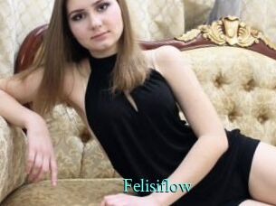 Felisiflow
