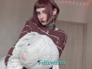 Felixwinter