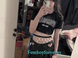 femboyforveiws xxx Fantasy Land