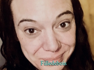 Filledebois