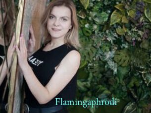 Flamingaphrodi
