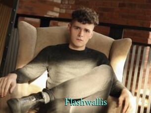 Flashwallis