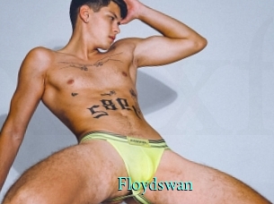 Floydswan