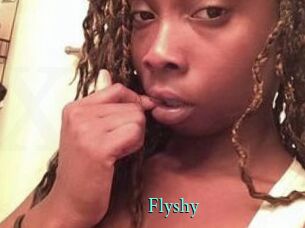 Flyshy