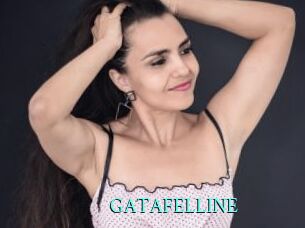 GATAFELLINE