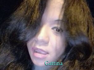 Gattina
