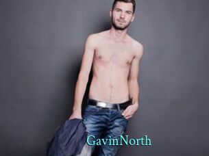 GavinNorth