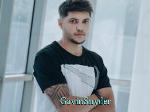 GavinSnyder xxx Fantasy Land