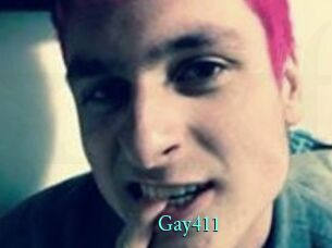 Gay411