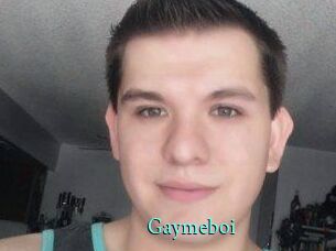 Gaymeboi