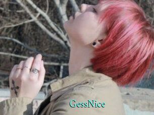 GessNice