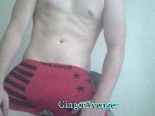 GingerAvenger