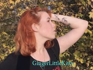 GingerLittleKitty