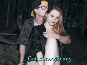 GingerSnowBunny