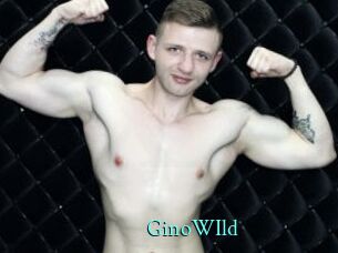 GinoWIld xxx Fantasy Land