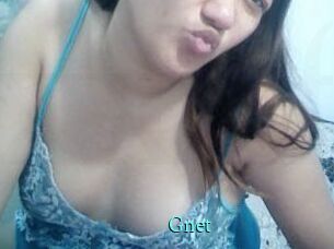 Gnet