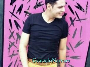 GonzaloNarvaes