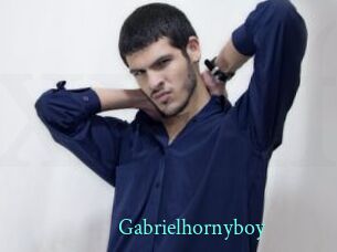 Gabrielhornyboy