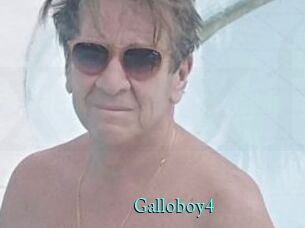Galloboy4
