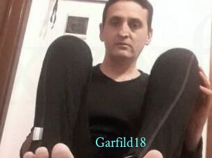 Garfild18
