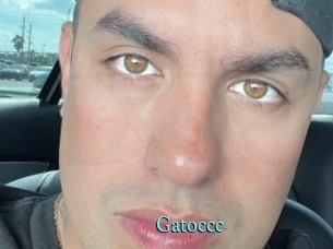 Gatoccc