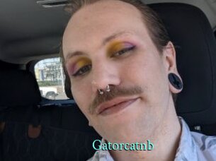 Gatorcatnb