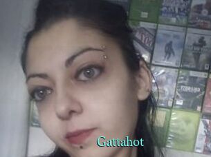 Gattahot