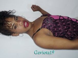 Gaviota19