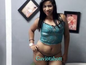 Gaviotahott