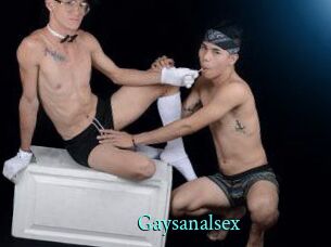 Gaysanalsex