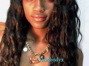 Geilebodyx