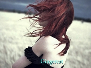 Gingercat