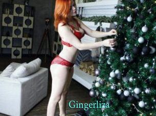 Gingerliza