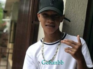 Gohanbb