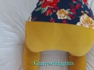 Granysofibigtitis