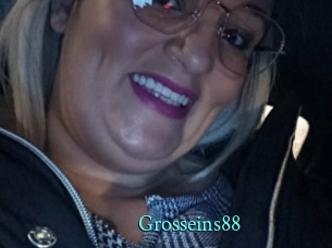 grosseins88 xxx Fantasy Land