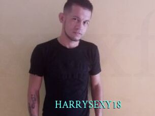 HARRYSEXY18 xxx Fantasy Land