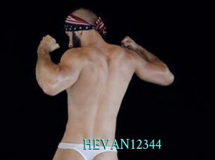 HEVAN12344