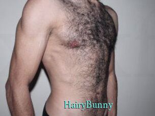 HairyBunny