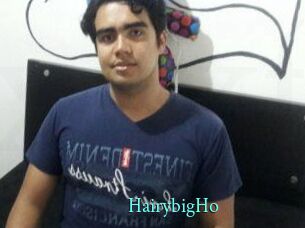 HairybigHo