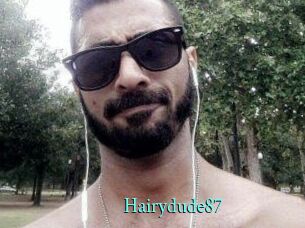 Hairydude87