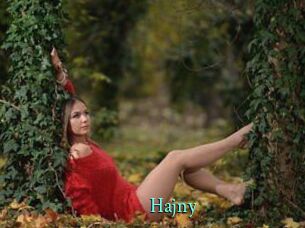 Hajny