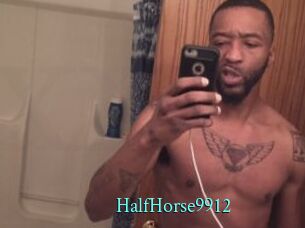 HalfHorse9912