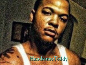 HandsomeTeddy