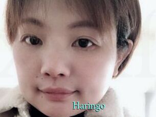 Haringo