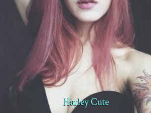 Harley_Cute