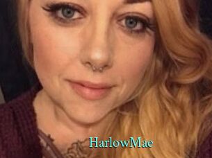 Harlow_Mae