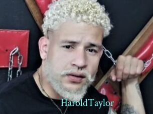 HaroldTaylor xxx Fantasy Land