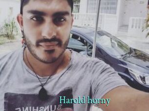 Harold_horny xxx Fantasy Land