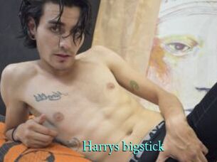 Harrys_bigstick